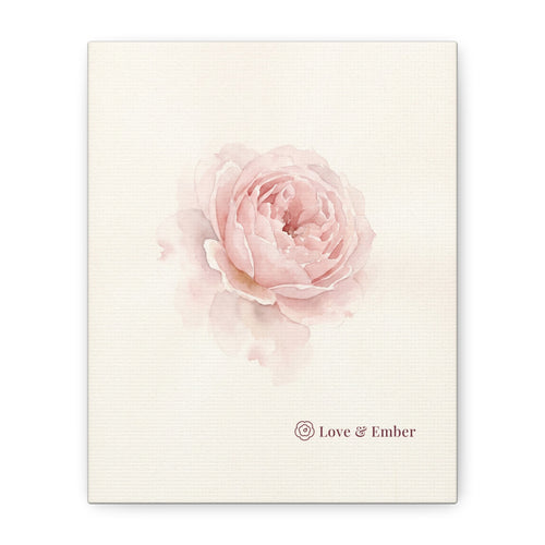 Blush Rose Canvas