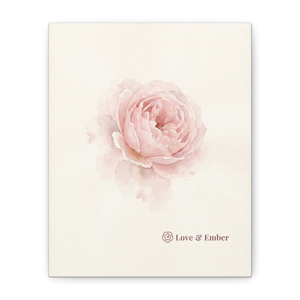 Blush Rose Canvas