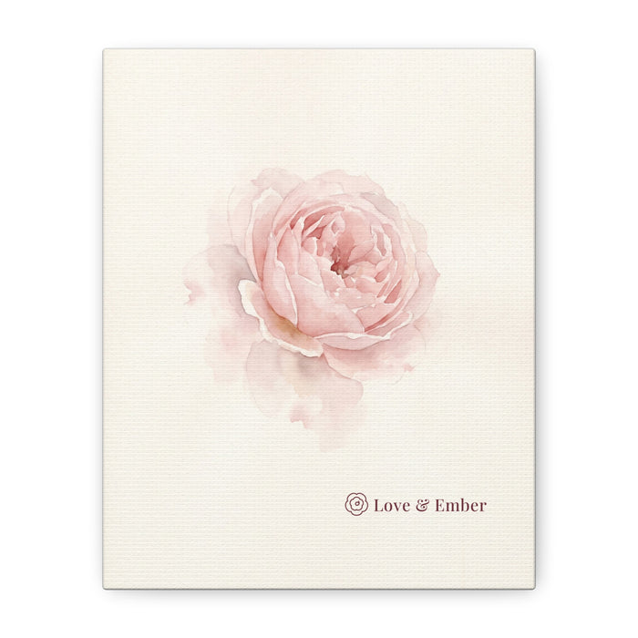 Blush Rose Canvas