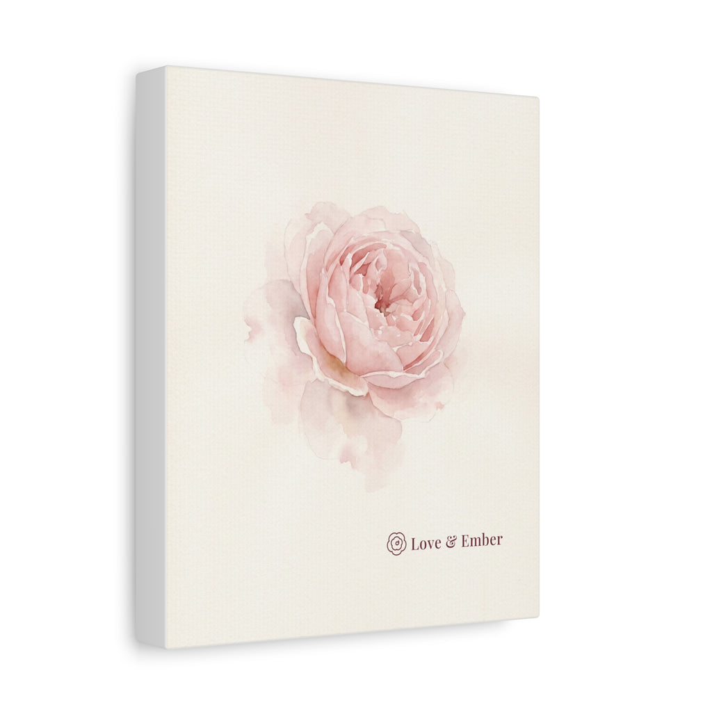 Blush Rose Canvas