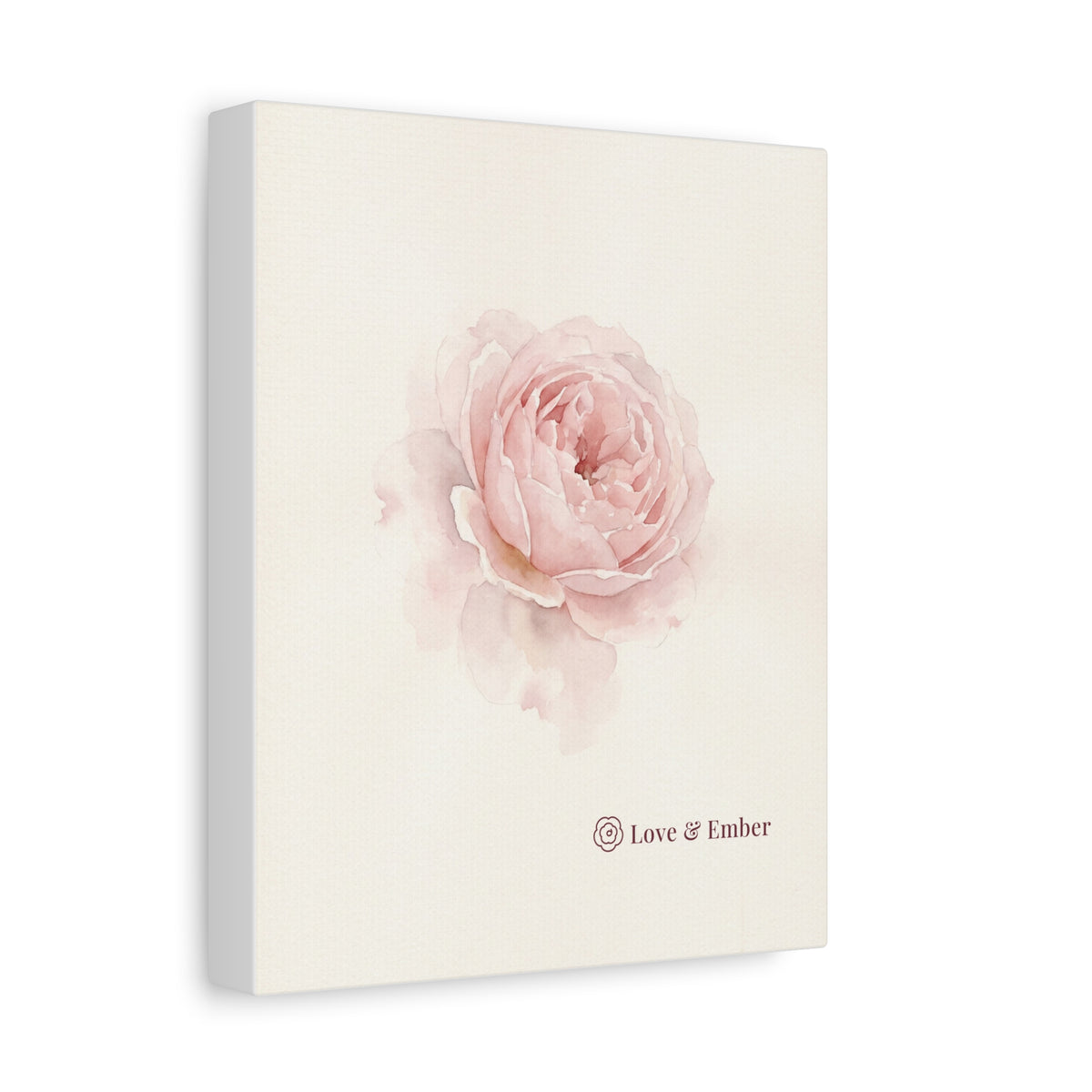 Blush Rose Canvas
