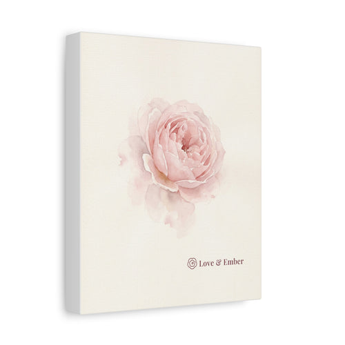 Blush Rose Canvas